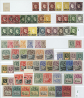 St. Helena: 1863/1967, Mainly Mint Collection On Stocksheets, From A Nice Selection Of QV Issues, SG Nos. 55/60, 64/70, - Saint Helena Island