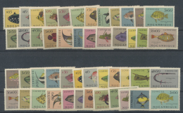 Mocambique: 1951, Fishes, Two Complete Sets Unmounted Mint. Michel Nos. 385/408. - Mozambique