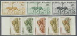 Kamerun: 1960/1965 (ca.), Bestand Von Ca. 470 UNGEZÄHNTEN PROBEDRUCKEN In Teils Unterschiedl. Farben Und Farbkombin - Cameroun (1960-...)