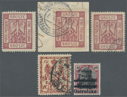 Polen - Lokalausgaben 1915/19: 1915-19: Umfangreiche Sammlung Von Ca. 160 Marken Der Lokalausgaben Auf Großen Stec - Altri & Non Classificati