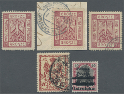 Polen - Lokalausgaben 1915/19: 1915-19: Umfangreiche Sammlung Von Ca. 160 Marken Der Lokalausgaben Auf Großen Stec - Other & Unclassified