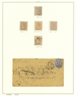 Malta: 1863/1916, Mint And Used Collection On Album Pages, Also Comprising 21 Entires. - Malta