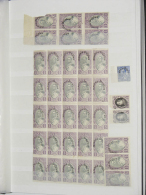 Albanien: 1920/30 (ca.): Collection MNH Sheetparts Of Albania Ca. 1920-1930 In 2 Stockbooks. Contains A.o. (Michel No's) - Albanie