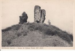 Cp , 72 , SAINT-CALAIS , Ruines Du Château Féodal (XIe S.) - Saint Calais