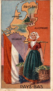 CHROMO CHOCOLAT REVILLON MYDIA LES PAYS BAS DRAPEAUX DES ETATS D'EUROPE - Revillon