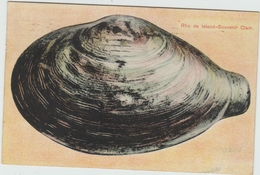 RHO DE ISLAND - SOUVENIR CLAM. - Iceland