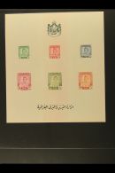 1949-95 NHM SELECTION  Presented On Stock Pages. Includes 1948-51 Imperf Definitive M/s, 1949 Air Perf &... - Iraq