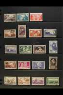 1940 YEAR SET - NEVER HINGED MINT  A Complete Year Set, From Yv 451/469, Presented On Stock Pages. Never Hinged... - Altri & Non Classificati
