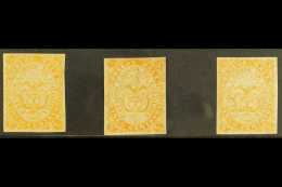 1868  5c Orange, Scott 53, Mint Group With Three Different Shades. (3 Stamps)  For More Images, Please Visit... - Colombia