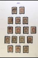 1880-82  Mint, Unused & Used Collection With Shades In Hingeless Mounts On Leaves, Inc 1880-82 1c (x16 Inc... - Andere & Zonder Classificatie