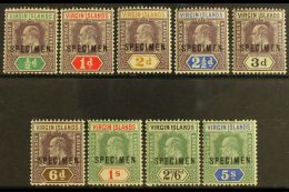 1904  Ed VII Set Wmk MCA, Ovptd "Specimen", SG 54s/62s, Fine Mint. (9 Stamps) For More Images, Please Visit... - British Virgin Islands