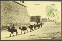 OFFICES IN CHINA  1908 Untravelled Ppc Of Camel Train Passing Great Wall Franked 5h Green And Tied By Fine Strike... - Otros & Sin Clasificación