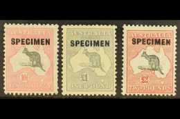 1931-36  10s, £1, And £2 Kangaroo's With "SPECIMEN" Overprints Set, SG 136s/138s, Fine Mint. (3... - Autres & Non Classés