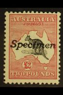 1913-24  £2 Black & Rose, 'Roo, First Watermark, "Specimen" Handstamp, SG 16s, Never Hinged Mint. For... - Other & Unclassified