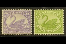 WESTERN AUSTRALIA  1906-07 6d Bright Violet & 1s Olive- Green, SG 115/16, Very Fine Mint (2 Stamps) For More... - Other & Unclassified