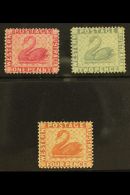 WESTERN AUSTRALIA  1888 1d, 2d & 4d Wmk Crown CA Issue Complete, SG 103/05, Very Fine Mint (3 Stamps) For... - Other & Unclassified