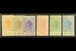 SOUTH AUSTRALIA  1902-04 10d To £1 'tall' Perf 11½-12 Values Complete, SG 274-279, Very Fine Mint (6... - Altri & Non Classificati