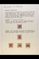 NAPLES  1859 - 1861 Engraved Postal Forgeries - Superb Collection Written Up On Display Pages, Several With... - Ohne Zuordnung