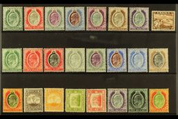 1903-1914 COMPLETE KEVII VERY FINE MINT COLLECTION  On A Stock Card, All Different, Comprising 1903-04 Set &... - Malta (...-1964)