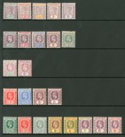 1900-12  All Different Mint Group Which Includes 1900 ½d, 1d, 2d, 5d And 6d, 1902 ½d, 1d,... - Nigeria (...-1960)