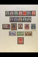 1947-1955 COLLECTION  On Leaves, Mint/nhm & Used, Inc 1947 Opts Mint (mostly NHM) Set To 5r, 1948-57 Set To... - Pakistan