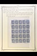 OFFICIALS  1886 COLOUR TRIAL PROOF Of The 5c Value (as Sc O3, SG O34) In Blue On Thick Surfaced Paper - A... - Paraguay