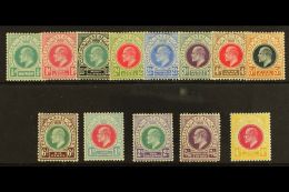 NATAL  1902 - 04 Ed VII Postage Revenue Set To 4s Complete, SG 127/38, Very Fine And Fresh Mint. (13 Stamps) For... - Sin Clasificación