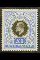 NATAL  1902 £1 Black And Bright Blue, SG 142, Very Fine Mint. For More Images, Please Visit... - Non Classés