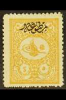 1901  5pi Yellow Buff, For Foreign Mail, Ovptd "Printed Matter, SG N194, Very Fine Mint. Scarce Stamp. For More... - Other & Unclassified