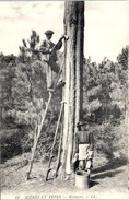 FOLKLORE  -- Les LANDES -- Scènes Et Types - Résinier - Andere & Zonder Classificatie