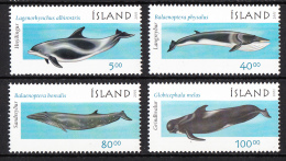 Iceland MNH 2001 Set Of 4 Marine Mammals - Ungebraucht