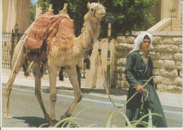 Islam Jerusalem Old City Street Scene Muslim Boy With His Camel In Typical Dresses - Unused - Asie