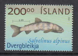 Iceland MNH 2002 200k Salvelinus Alpinus - Fish Of Lake Thingvallavatn - Nuovi