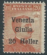 1918 TRENTINO ALTO ADIGE EFFIGIE 20 H VARIETà LETTERA H MNH ** - Z1-8 - Trento