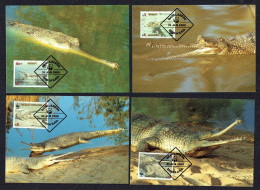 1990  Bangladesh  WWF Gharial WWF Maximum Cards - Bangladesch