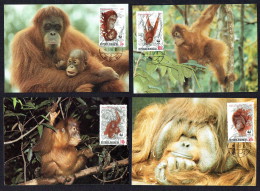 1989 Indonesia - Orangutan    WWF Maximum Cards - Indonésie