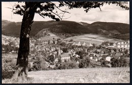 A4602 - Alte Foto Ansichtskarte - Steinach - Kühn - TOP - Lauscha