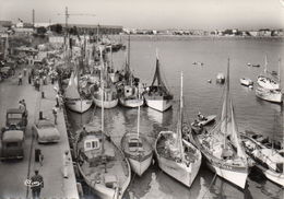 17...CHARENTE MARITIME.....ROYAN...LE PORT.....CPSM - Royan