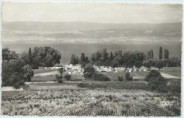 Sciez-Le Camping En Bordure Du Lac Léman-Au Fond,les Rives De La Suisse-(CPSM) - Sciez