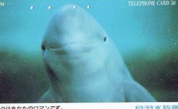 Télécarte Japon * DAUPHIN * DOLPHIN (799) Japan Phonecard * DELPHIN * GOLFINO * DOLFIJN * - Delfines