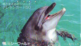 Télécarte Japon * DAUPHIN * DOLPHIN (803) Japan (110-155128) Phonecard * DELPHIN * GOLFINO * DOLFIJN * - Dolphins