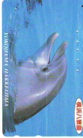 Télécarte Japon * DAUPHIN * DOLPHIN (806) Japan () Phonecard * DELPHIN * GOLFINO * DOLFIJN * - Dolphins