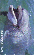 Télécarte Japon * DAUPHIN * DOLPHIN (808) Japan () Phonecard * DELPHIN * GOLFINO * DOLFIJN * - Dolfijnen