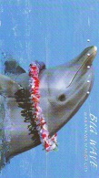 Télécarte Japon * DAUPHIN * DOLPHIN (810) Japan () Phonecard * DELPHIN * GOLFINO * DOLFIJN * - Delfines