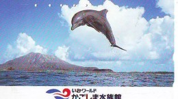 Télécarte Japon * DAUPHIN * DOLPHIN (817) Japan () Phonecard * DELPHIN * GOLFINO * DOLFIJN * - Delfini