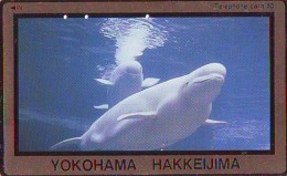 Télécarte Japon * DAUPHIN * DOLPHIN (825) Japan () Phonecard * DELPHIN * GOLFINO * DOLFIJN * - Dolfijnen