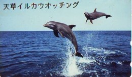 Télécarte Japon * DAUPHIN * DOLPHIN (838) Japan () Phonecard * DELPHIN * GOLFINO * DOLFIJN * - Delfini