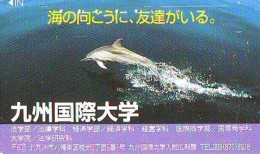 Télécarte Japon * DAUPHIN * DOLPHIN (853) Japan () Phonecard * DELPHIN * GOLFINO * DOLFIJN * - Delfini