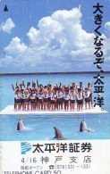 Télécarte Japon * DAUPHIN * DOLPHIN (904) Japan () Phonecard * DELPHIN * GOLFINO * DOLFIJN * - Dolphins