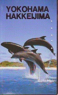 Télécarte Japon * DAUPHIN * DOLPHIN (905) Japan () Phonecard * DELPHIN * GOLFINO * DOLFIJN * - Dolfijnen